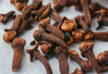 Cravinho: o tempero que pode transformar a sua cozinha Cravinho