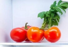 Frigorífico organizado, desperdício zero: O guia que vai mudar a tua cozinha! Frigorífico organizado